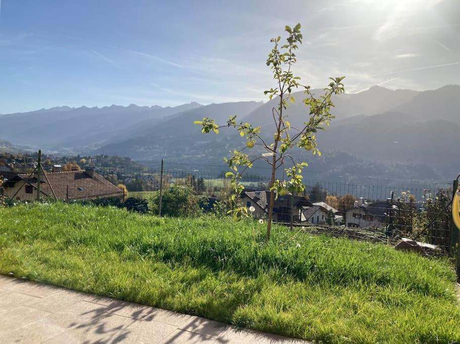 Casa Diaf Appartamento Incantevole Carano Ville Di Fiemme Εξωτερικό φωτογραφία